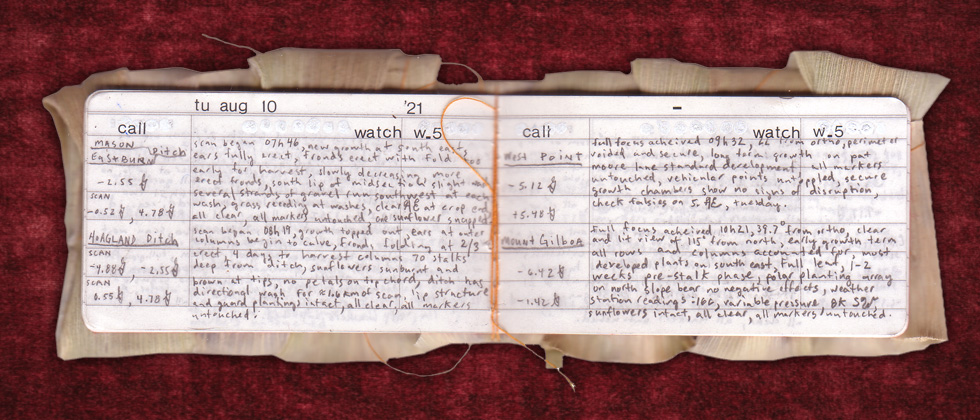 Marquis: An Epistolary Romp.  the work.group architecture