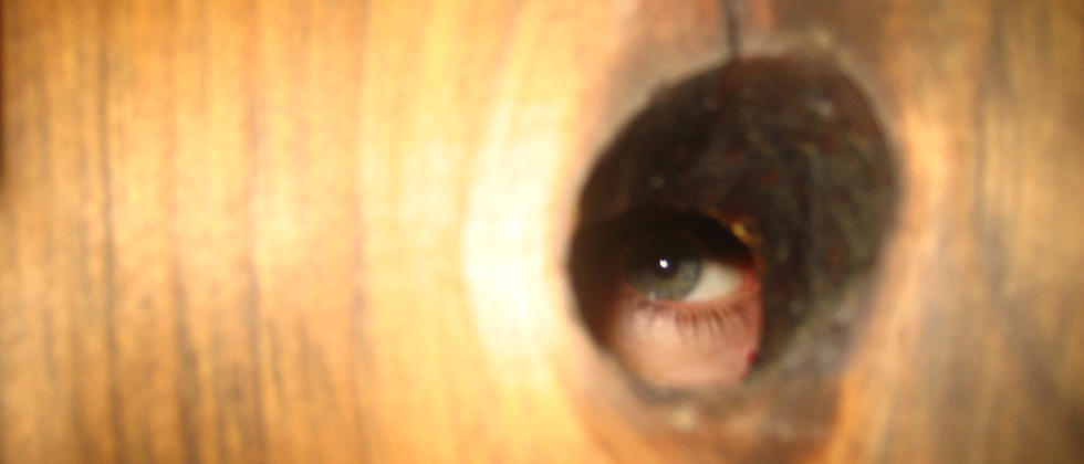 Hider-In-The-House House. the work.group architecture