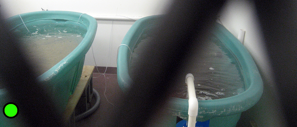 the work.group architecture